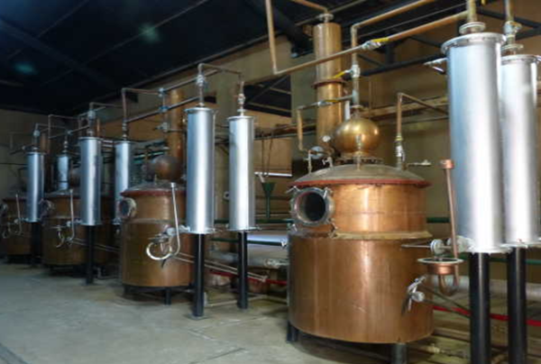 CF04 : Pisquera Capel Experience (visite premium dans la vallée de l'Elqui) - Imagen 6